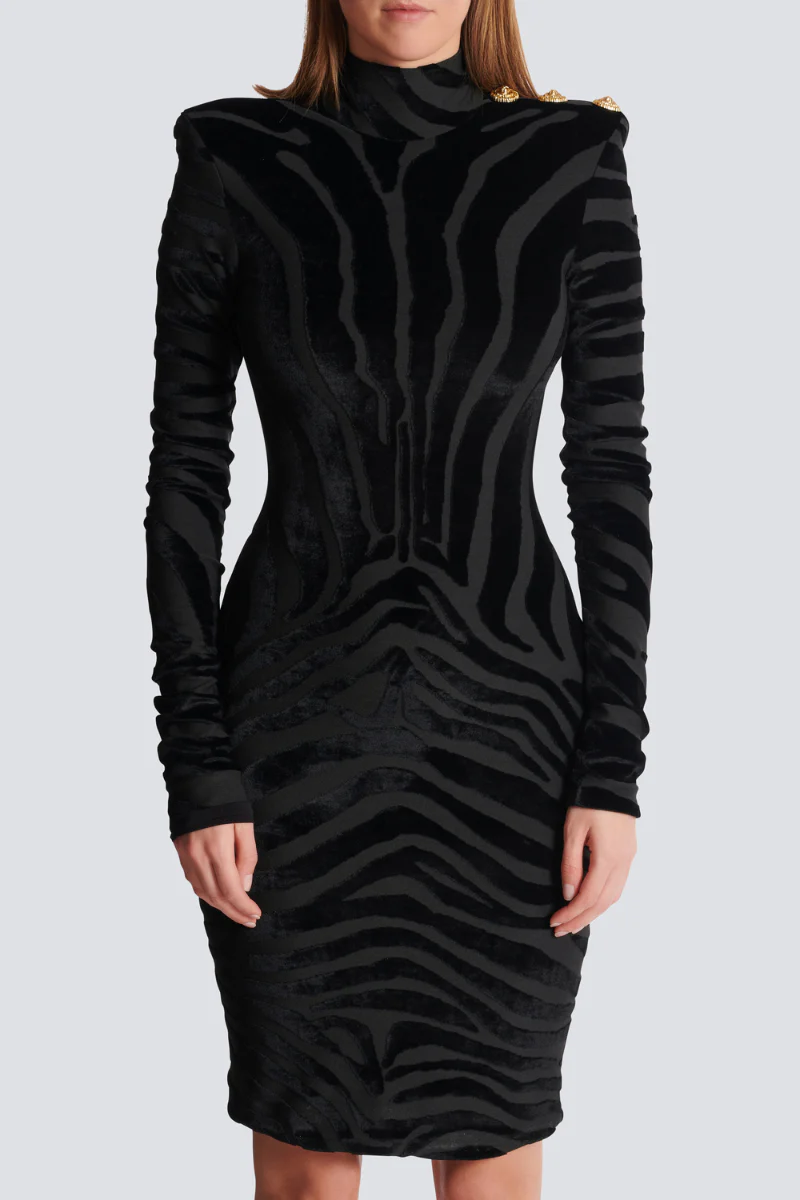 Zebra Print Velvet Dress - Image 3